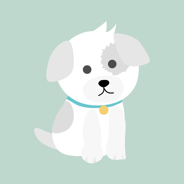 Hond