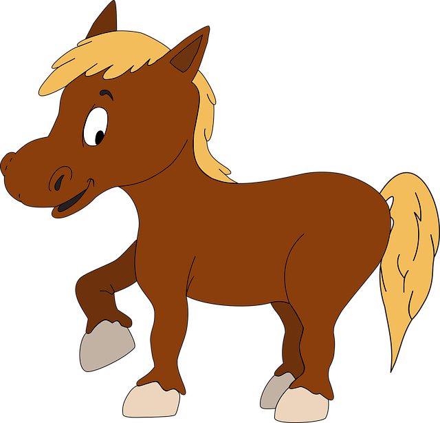 Paard
