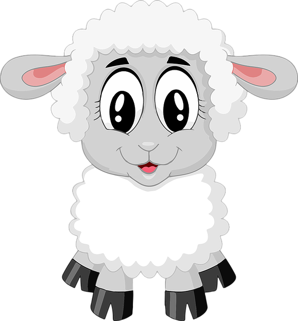 Schaap